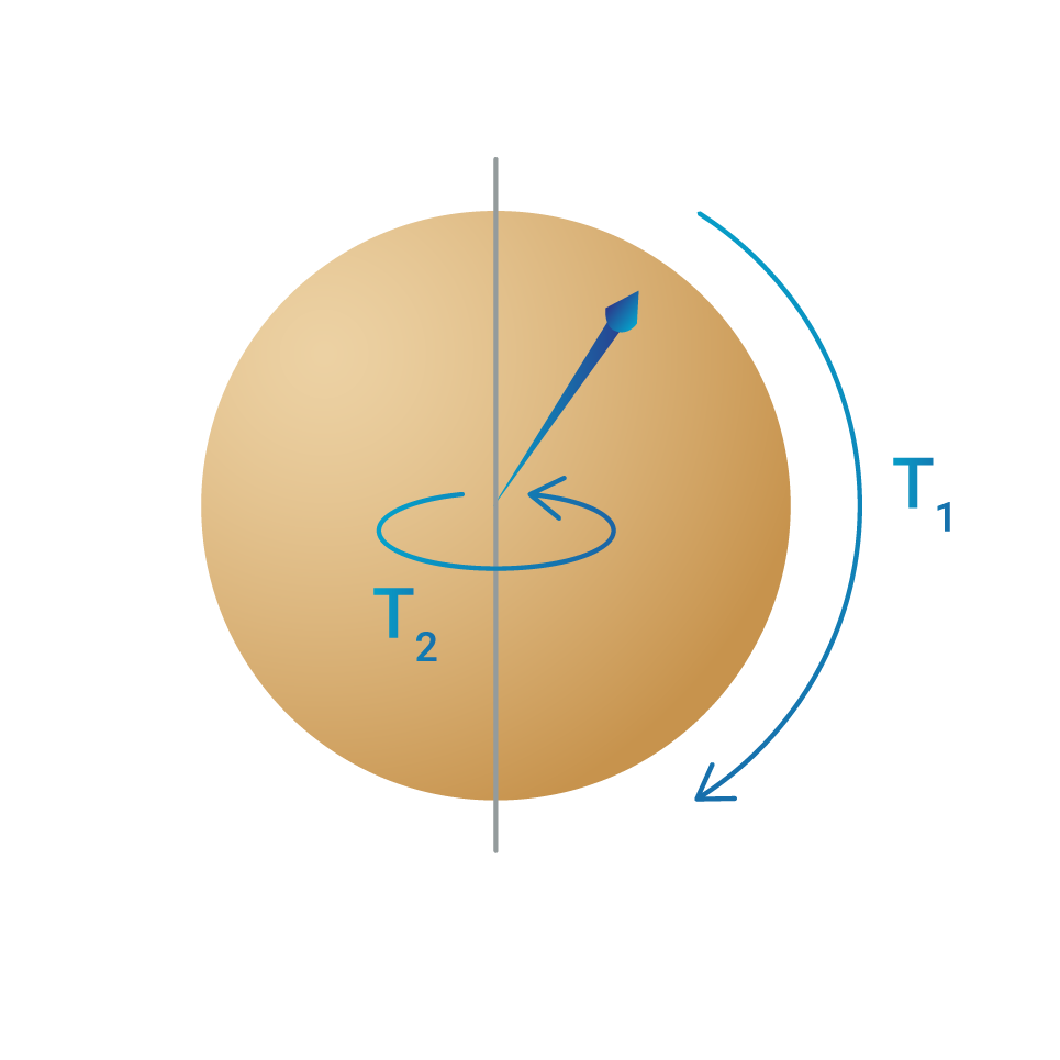 T1 and T2 times tell you how quickly noise affects the qubit state.